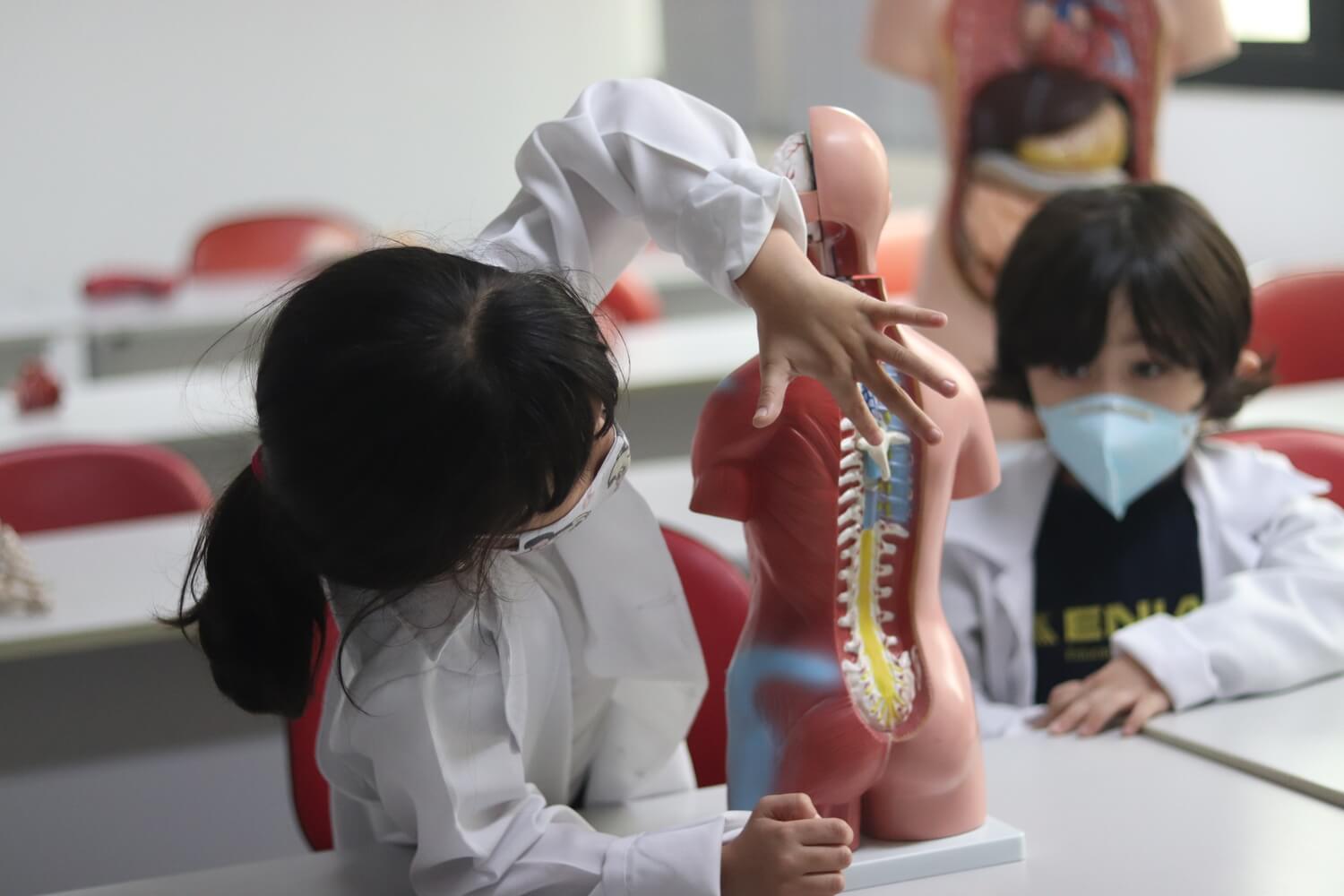 Menina na aula de anatomia analisando a coluna cervical